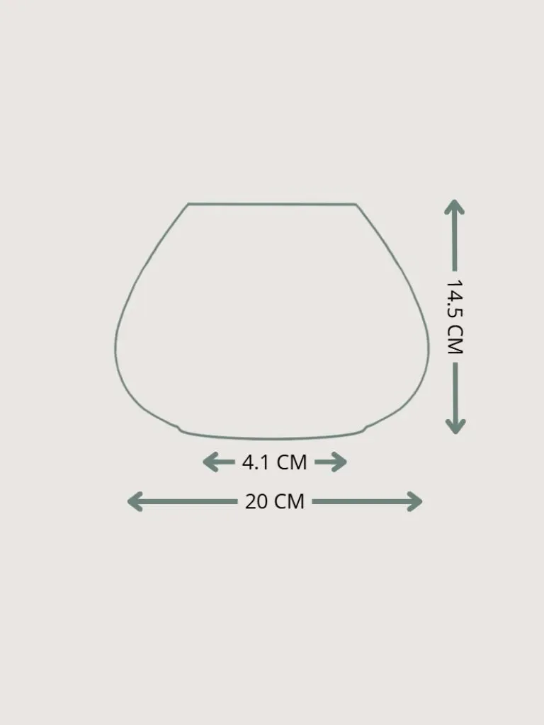 Untitled design.webp