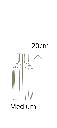 Overzicht_serena_small.webp
