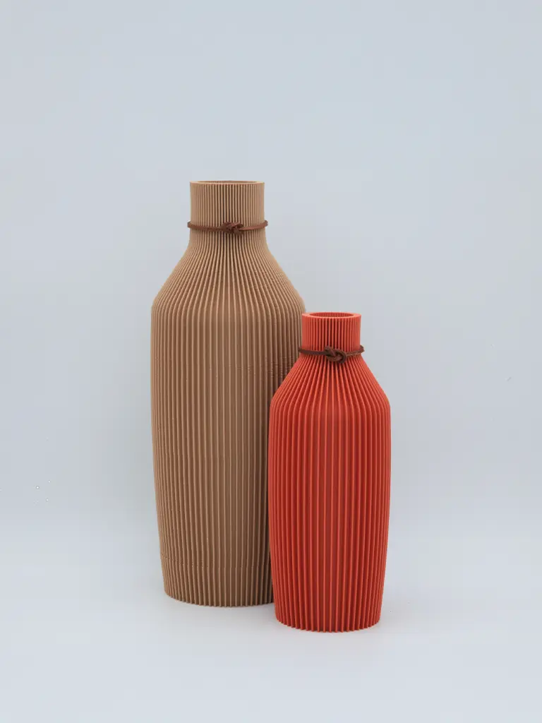 Vasorum Large Bundle